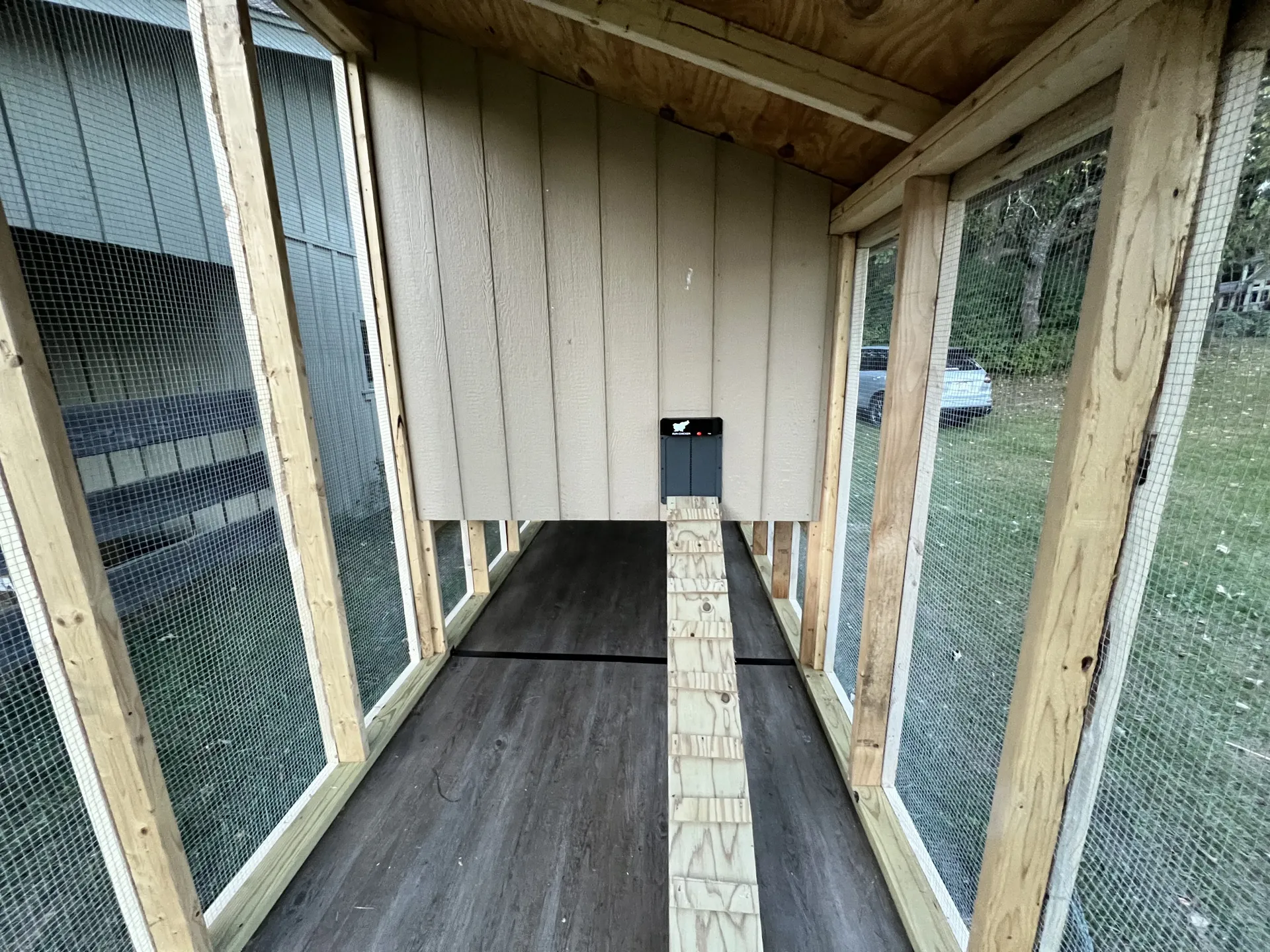 Interior run with open gate